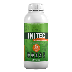 initec desarrollo zinc