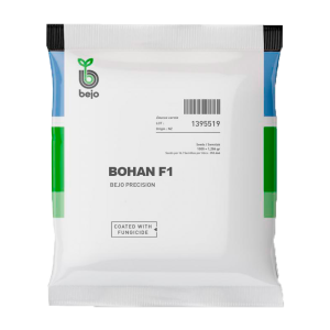 Remolacha Bohan F1
