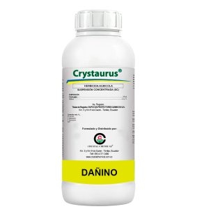 CRYSTAURUS