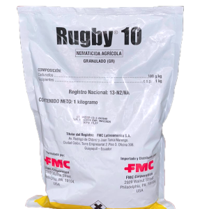 Rugby 10
