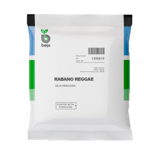 Rabanito REGGAE