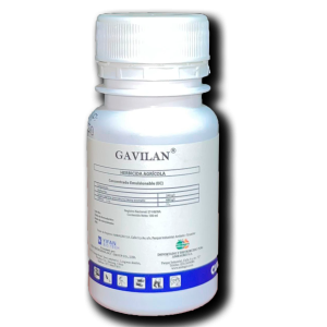 Gavilan