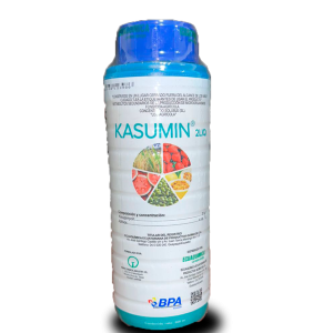 Kasumin