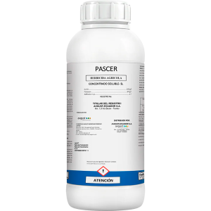 Pascer