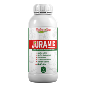 Juramic Bacillus thricoderma