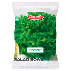LECHUGA SALAD BOWL