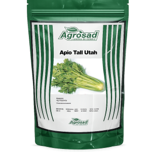 Apio Tall Utah semilla agrimportec