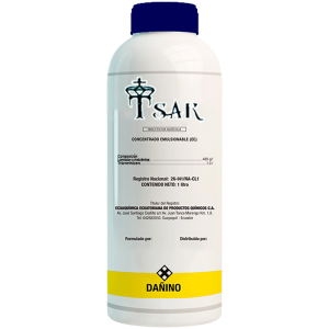 Tsar