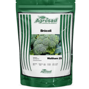 Brócoli Waltham 29 semilla Agrimportec