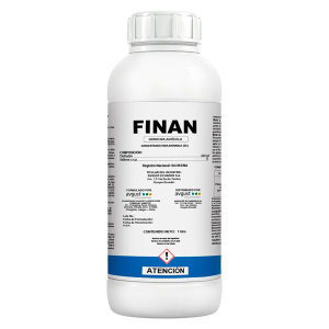 Finan