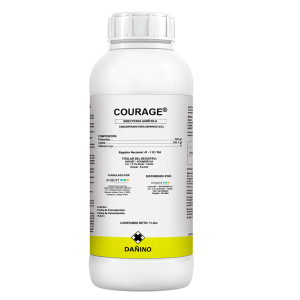 Courage
