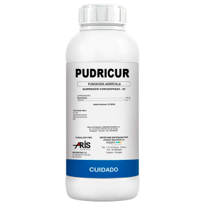 Pudricur