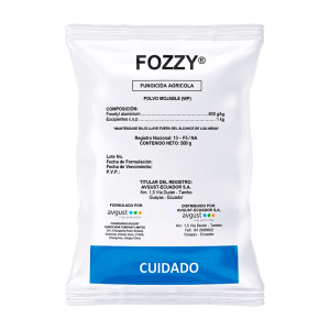 Fozzy