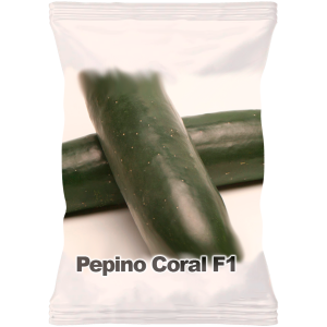 Pepino Coral F1