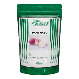 Papa Nabo Puerple Top