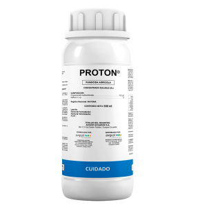 Proton