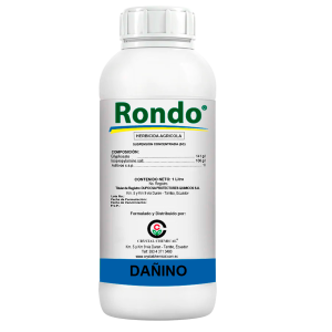 Rondo