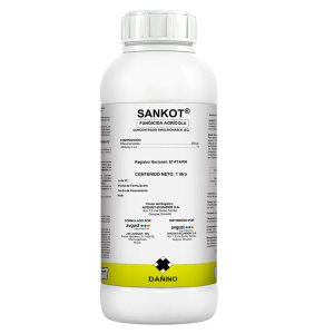 Sankot