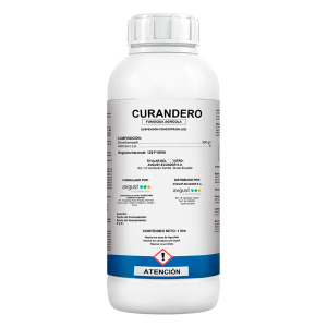 Curandero