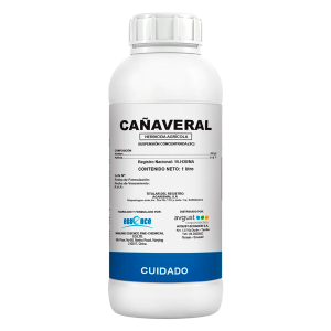 Cañaveral