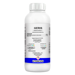 Geris