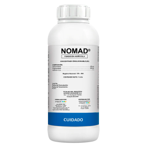 Nomad