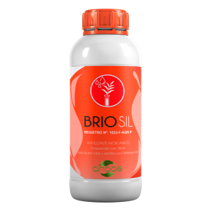 BrioSil Silicio Agrimportec
