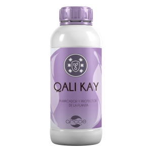 Qali Kay Amonio cuaternario