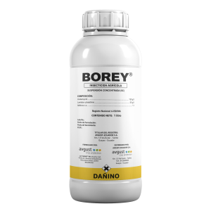Borey
