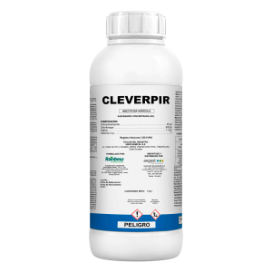 Cleverpir