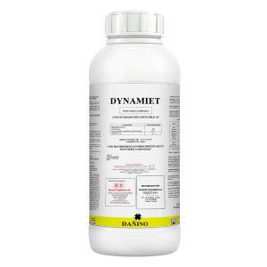 Dynamiet