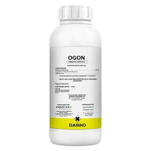 Ogon