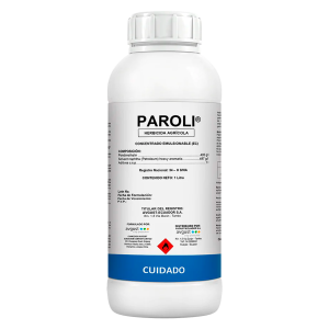 Paroli