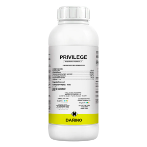 Privilege